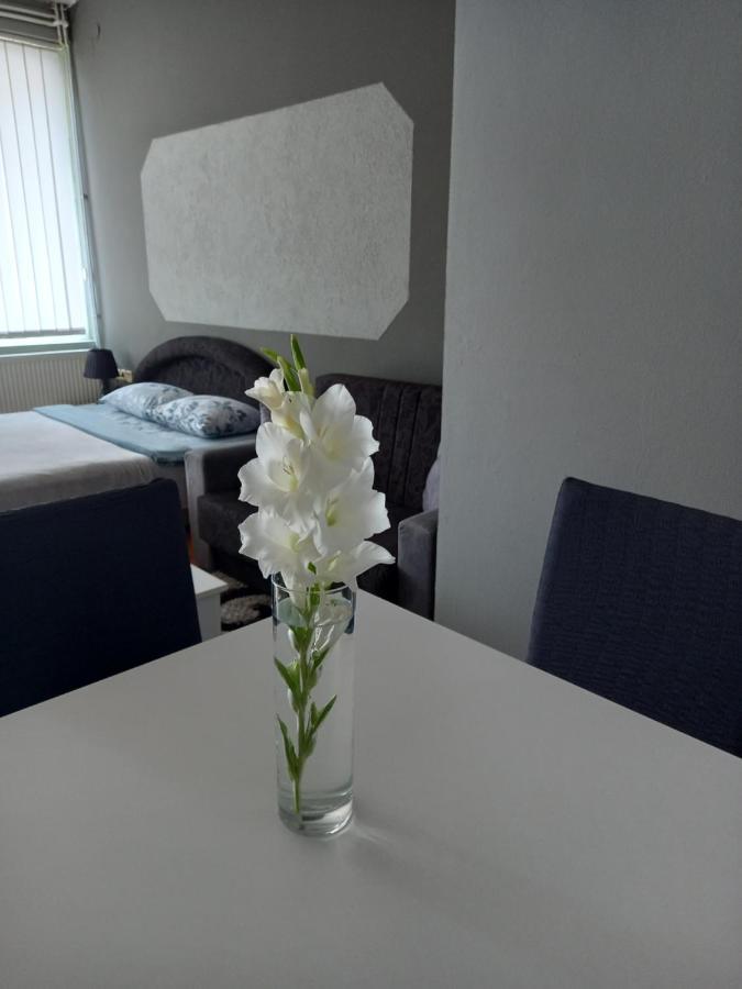 Apartmani Lazaro Visegrad Ngoại thất bức ảnh